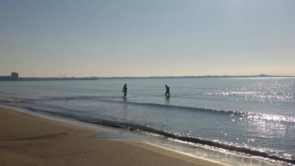 Gîte de vacances en Camargue ☆☆NN - Photo 5
