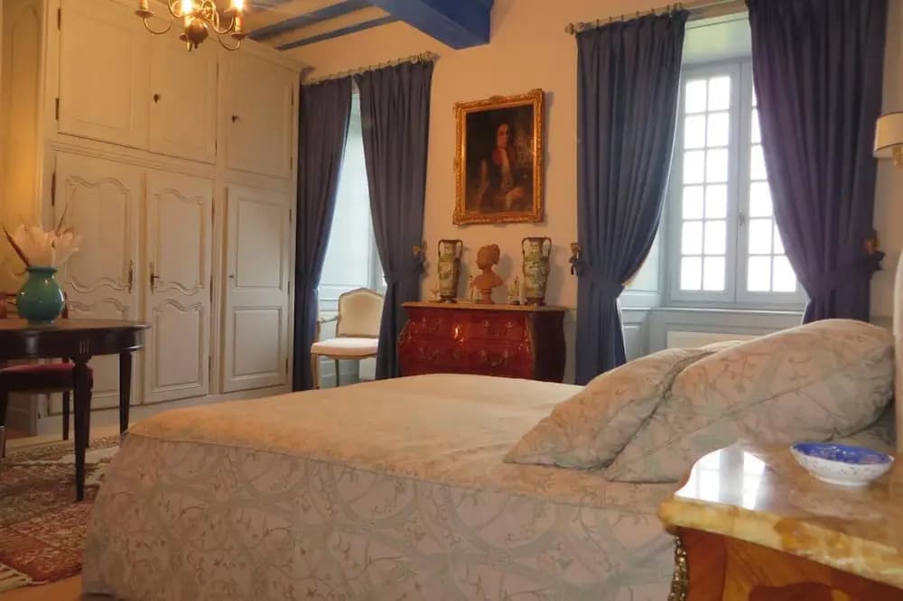 Chateau de la Semondiere - Photo 4