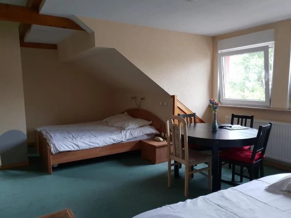 Hotel du Donon - Photo 4