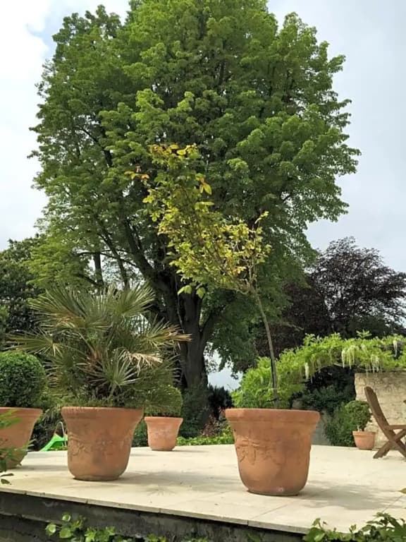 Le Castel Ecossais - Miniature 7