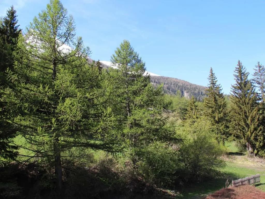 Appartement Lanslebourg-Mont-Cenis, 2 pièces, 4 personnes - FR-1-508-132 - Photo 3