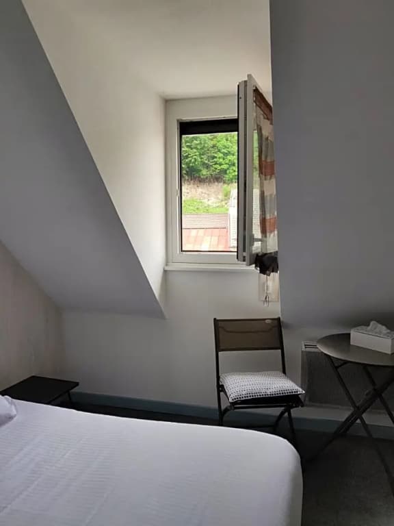 Hotel Le Lacuzon - Photo 4