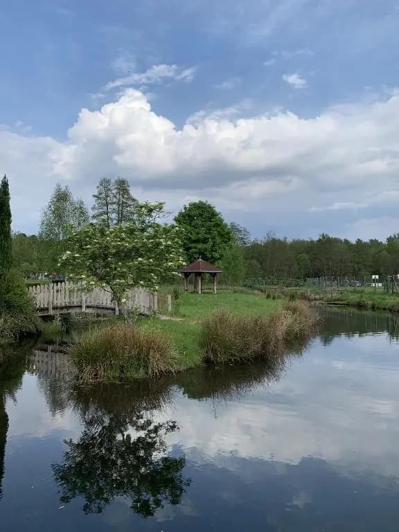 Camping De La Sarre - Miniature 6