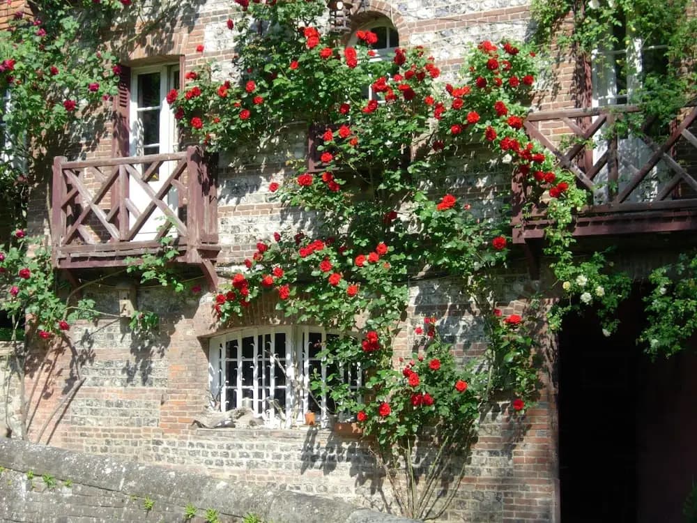 Le Moulin Fleuri Du Petit Appeville - Photo 3