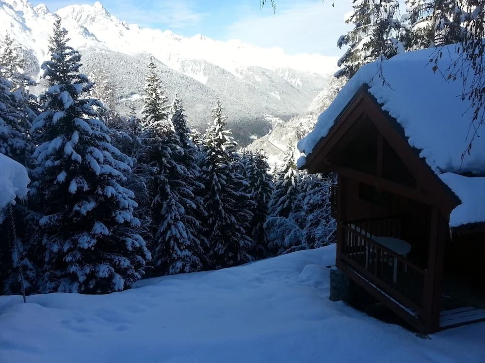 Mountain Chalet, hidden among the trees, with stunning views over lake - Photo 5