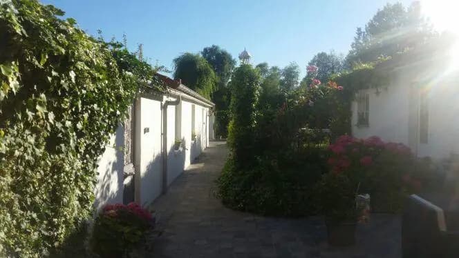 Les Trois Roses - Photo 1