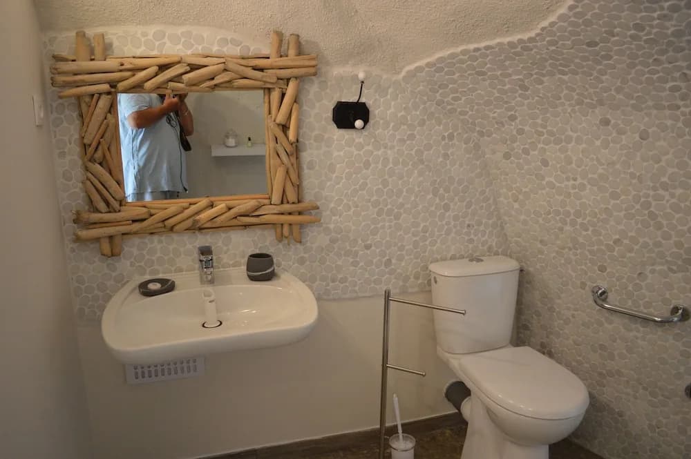 La Fontaine de La Chapiniere B&B - Miniature 7