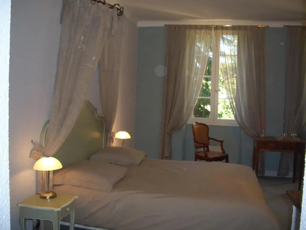 Le Platane - Photo 2