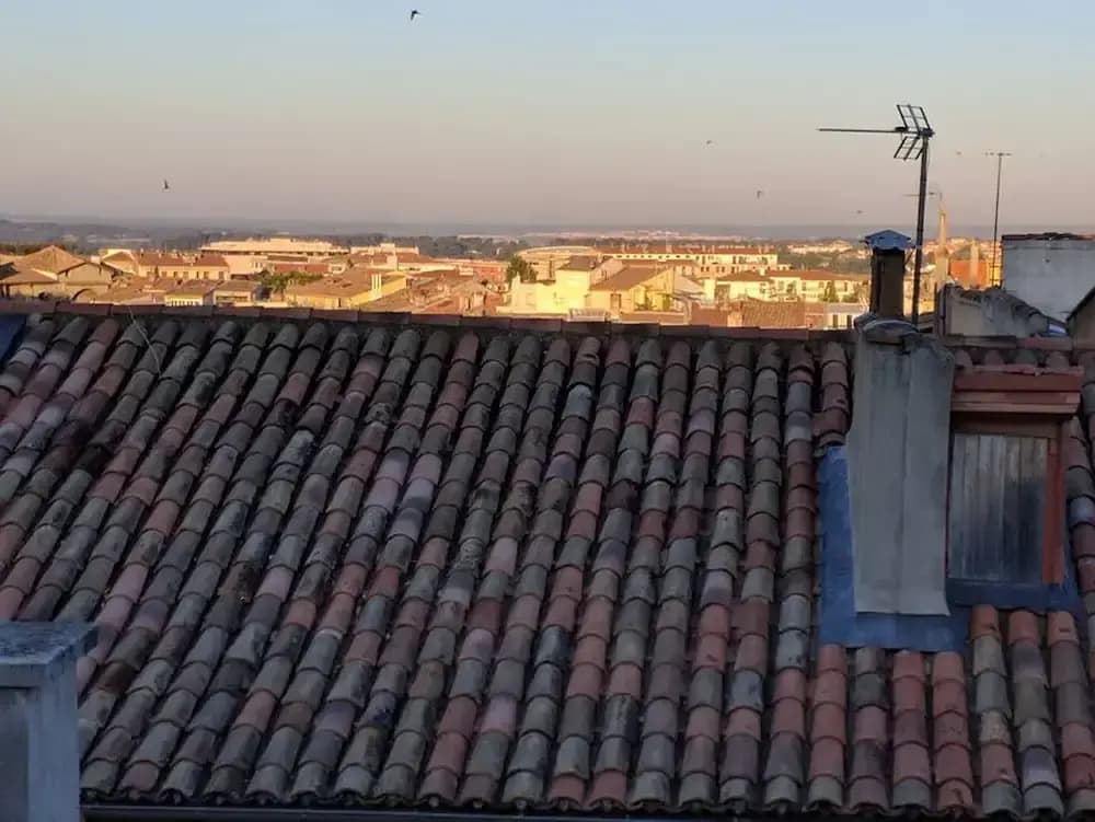 Historic Center top Floor w View - Photo 3