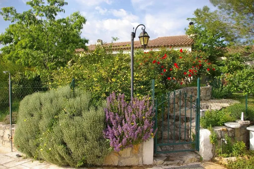 La Paillote - Photo 4