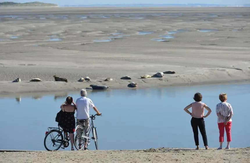 PADDLE - Vue Mer - 100M PLAGE - Photo 3