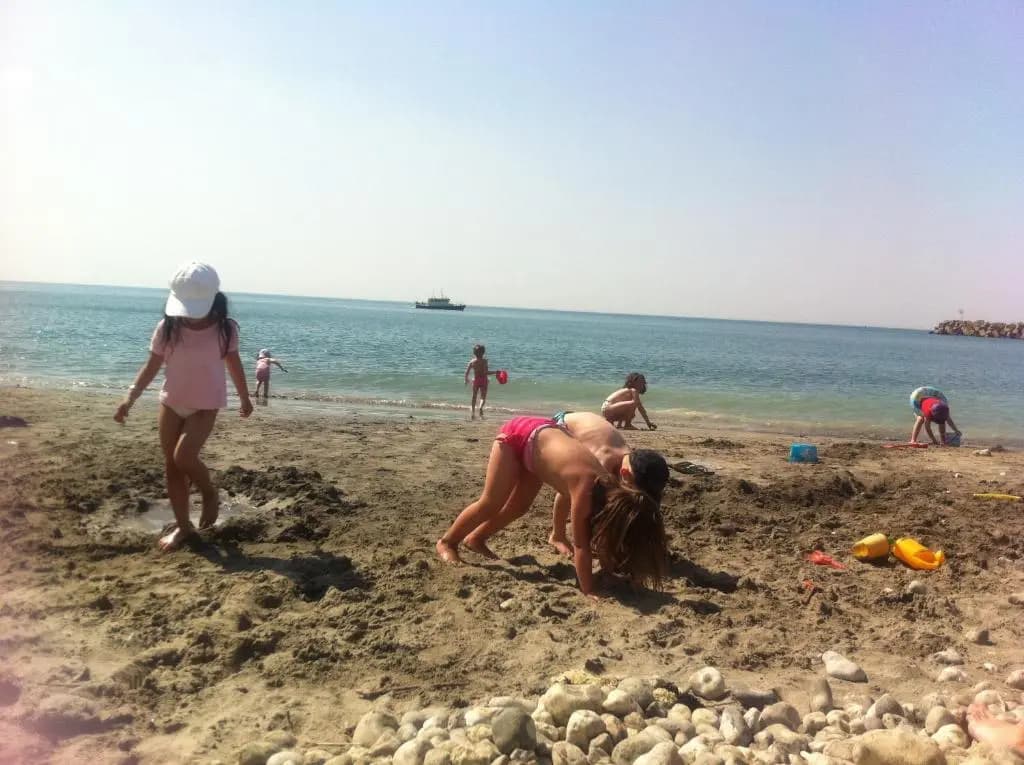 La Flore Marine - Photo 5