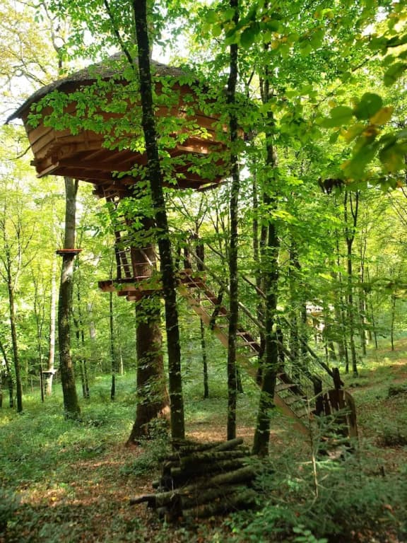 L'Arbre à Cabane - Photo 1