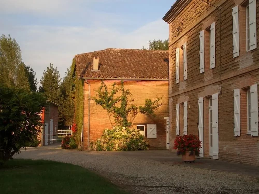 Le Platane - Photo 1