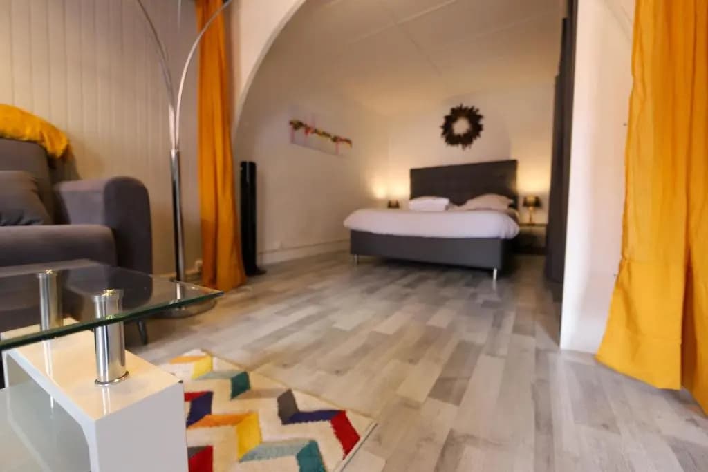 L'aparté : cosy T2 en centre piéton - Photo 5