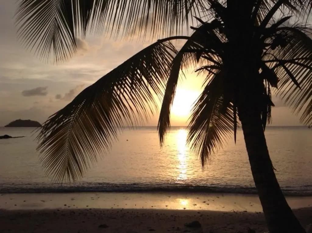 Villas Paradis Anse Figuier - Photo 5