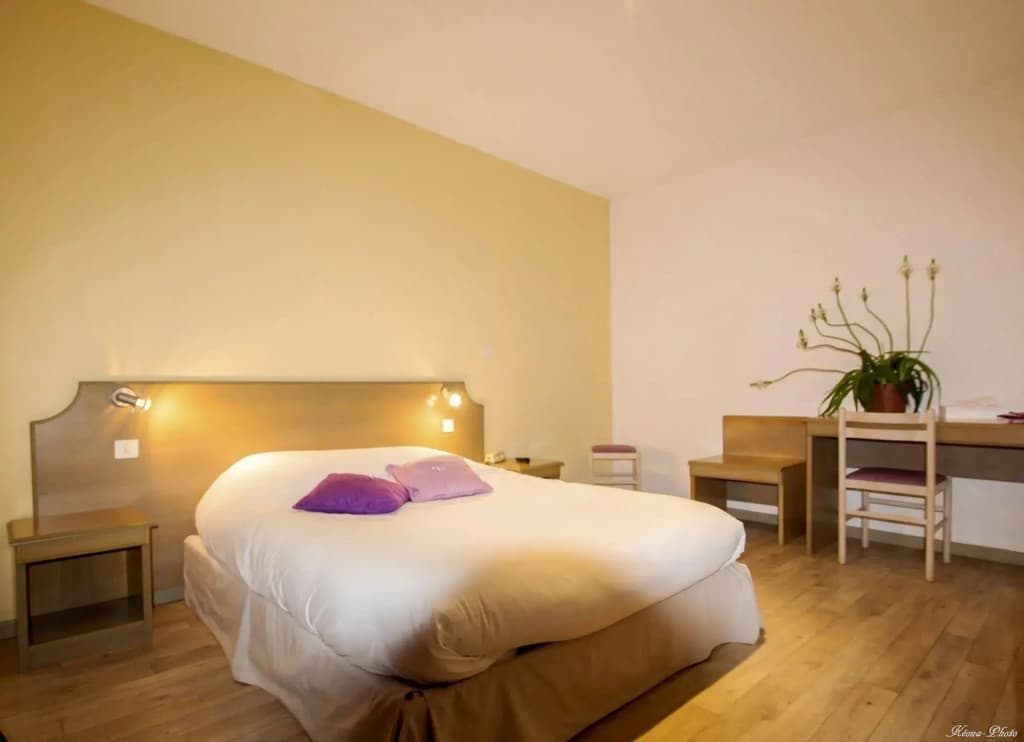 Hôtel Le Réverbère de Vic en Bigorre - Photo 3