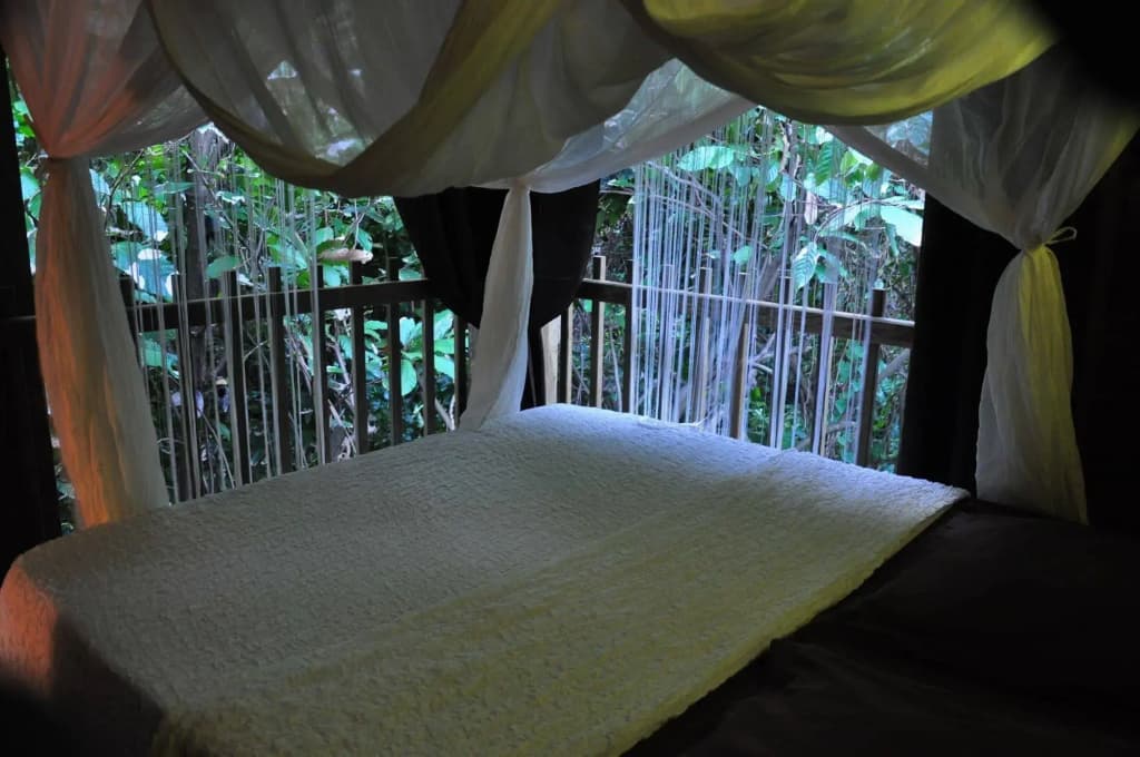 West Indies Cottage - Photo 5