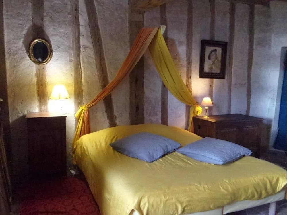 Chambres d'hôtes - Chateau de Chemery - Photo 5