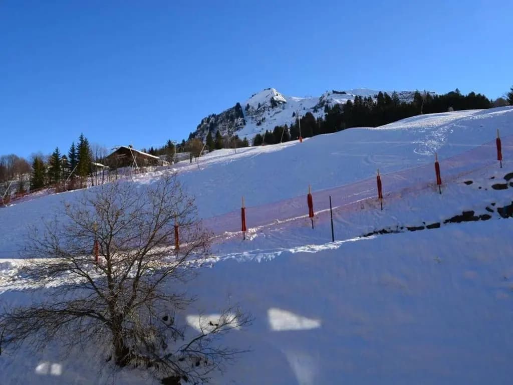 Appartement Le Grand-Bornand, 1 pièce, 4 personnes - FR-1-241-6 - Photo 5