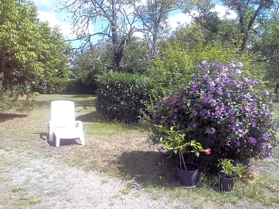 La Forge - Photo 4