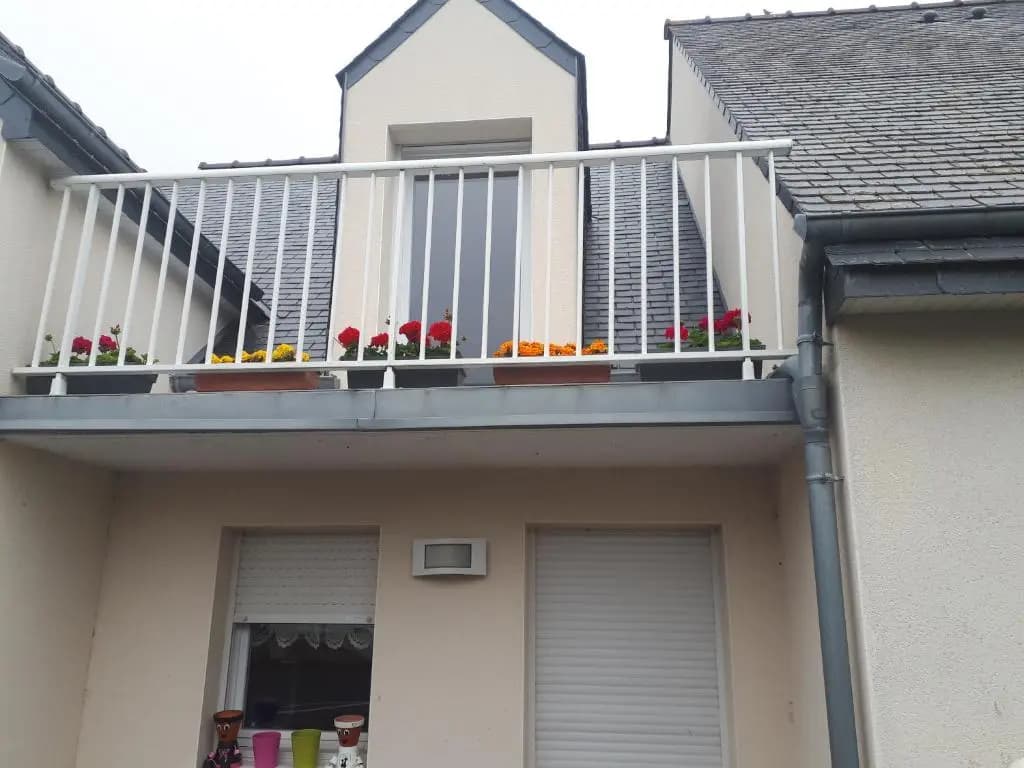 macareux - Photo 1