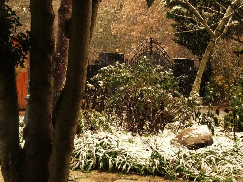 Villa La Clef Des Champs - Miniature 7
