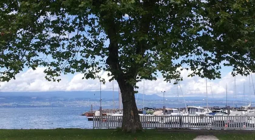 La Maison du Lac - Photo 4