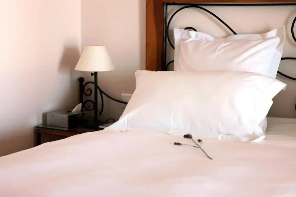 Hotel De La Pyramide - Photo 3