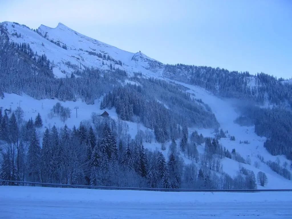 Appartement La Clusaz, 3 pièces, 6 personnes - FR-1-437-1 - Photo 1