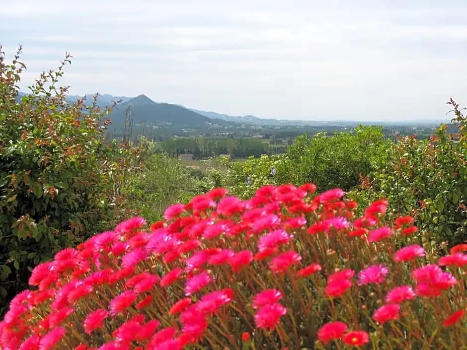 B&B La Cigaline - Photo 3