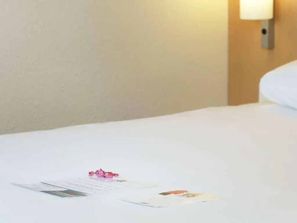 Hôtel ibis Dole Sud Choisey - Miniature 7