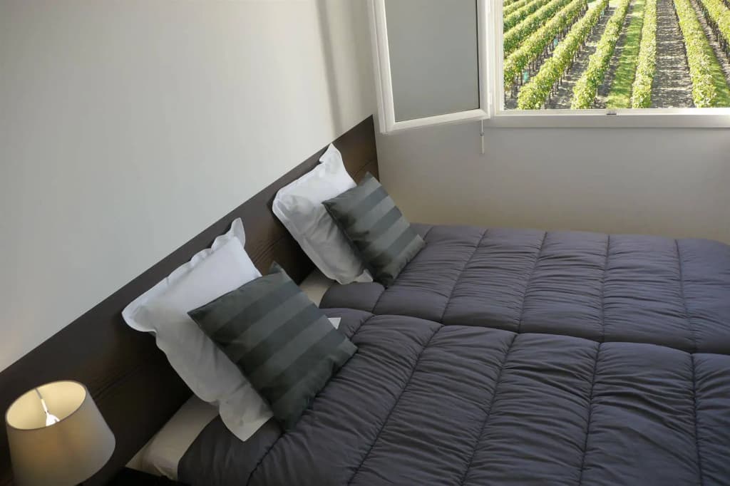 Les Grands Vignobles - Photo 3