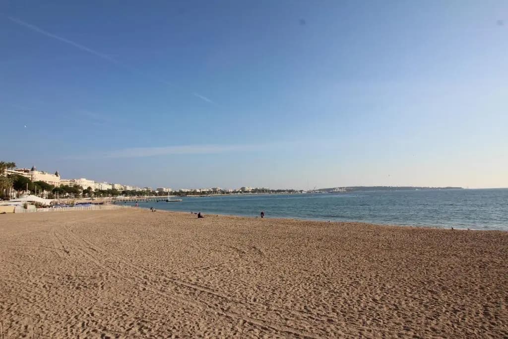 Cannes Conseil Immo - Appartement moderne à 250 m du Palais des festivals et des Plages - Photo 5