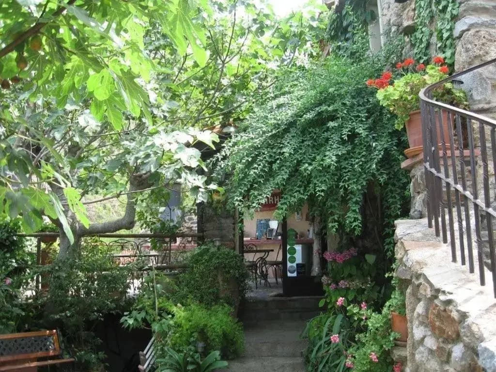 La Figuera - Photo 4