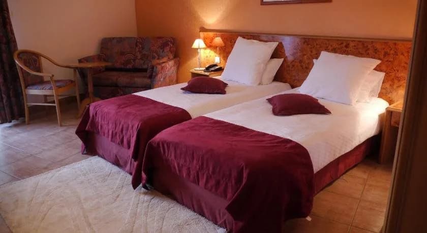 Hotel Sud Alsace - Photo 1
