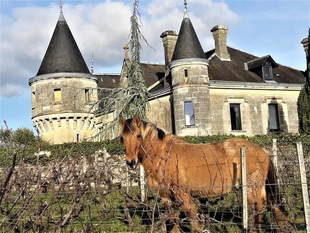 Chateau de la Grave - Photo 1
