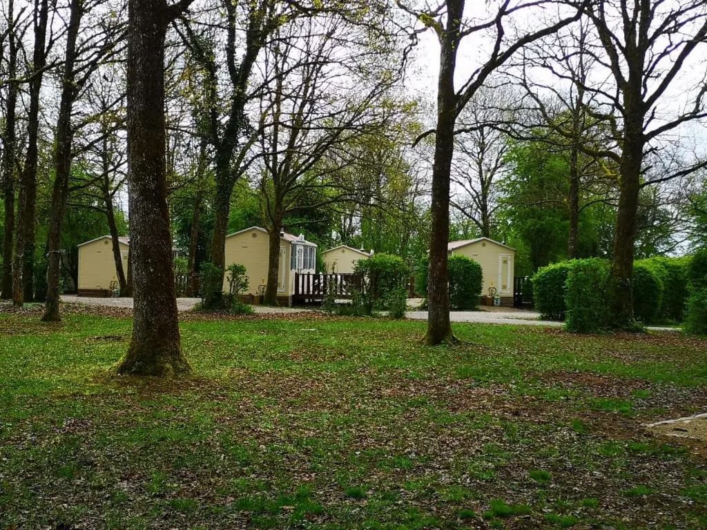 Camping de la croix d'Arles - Photo 4