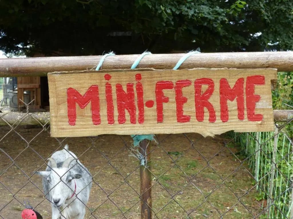 Gîte Saligny-sur-Roudon, 3 pièces, 5 personnes - FR-1-489-121 - Miniature 8