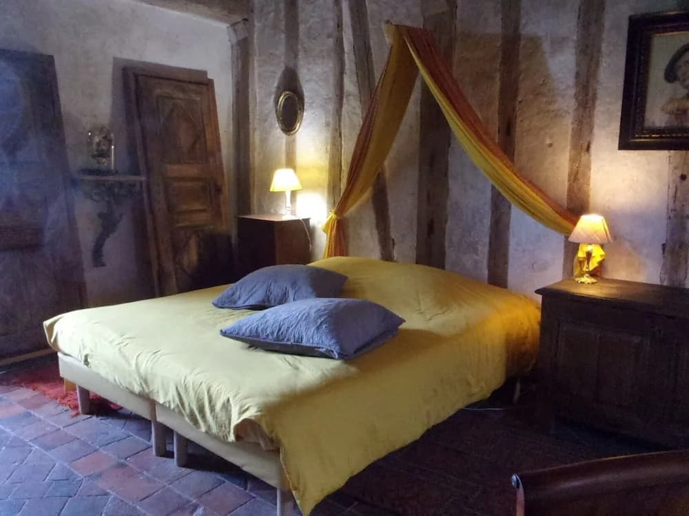 Chambres d'hôtes - Chateau de Chemery - Photo 2