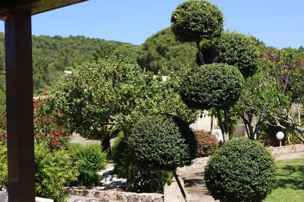 Les Jardins De Santa Giulia - Charmante chambre d'hôte 2 - Miniature 8