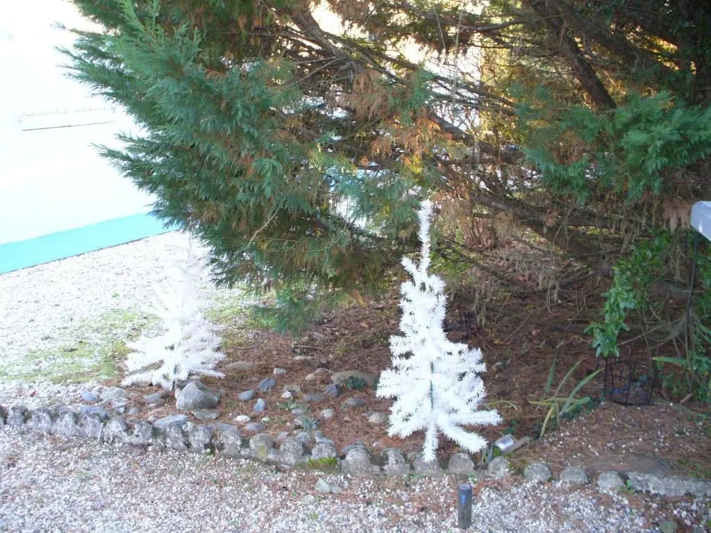 Chambre d'Hôtes Dyrslot - Photo 2