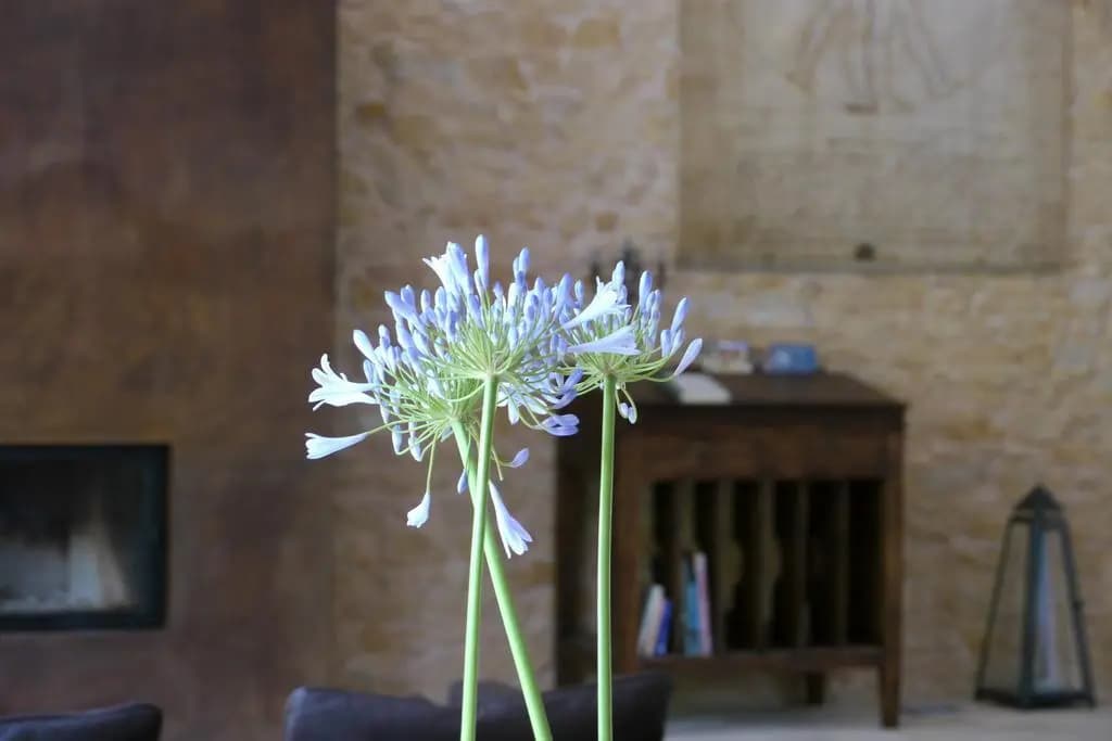 La Bastide d'Amalthée - Photo 1
