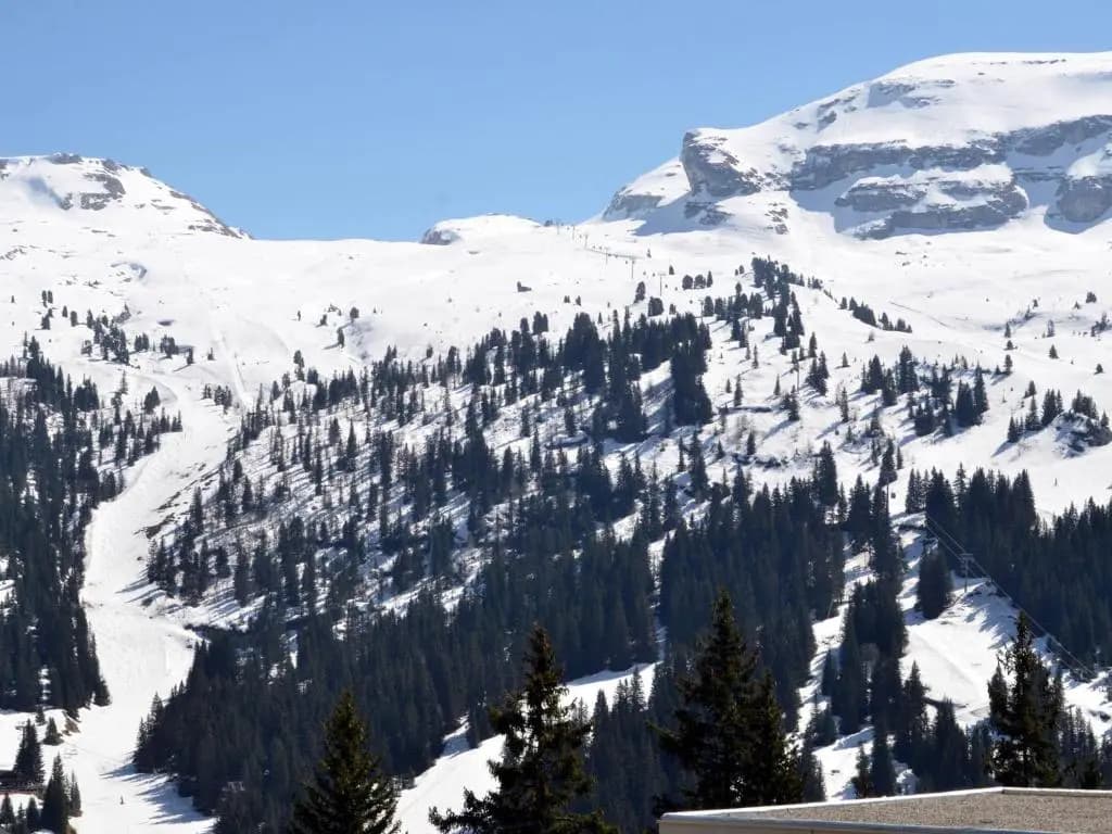 Studio Flaine, 1 pièce, 4 personnes - FR-1-425-180 - Photo 3