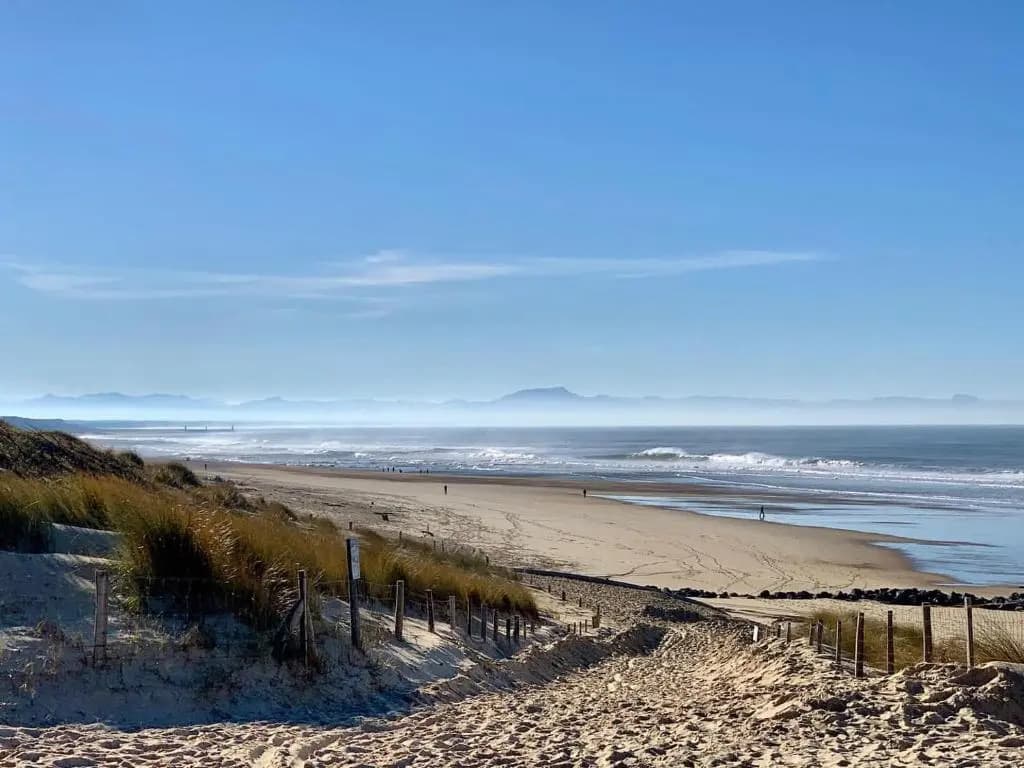 SEIGNOSSE PLAGES: Beau Studio équipé avec terrasse face aux dunes - Photo 4