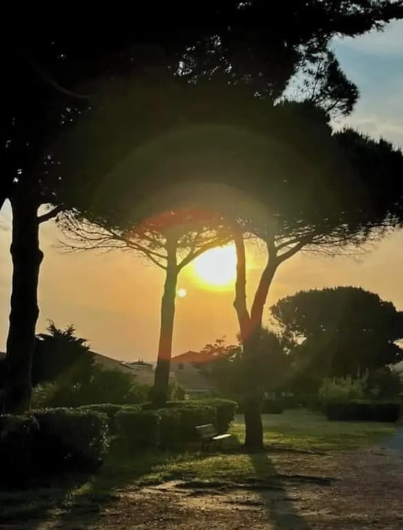 South of France Modern Retreat - Photo 3