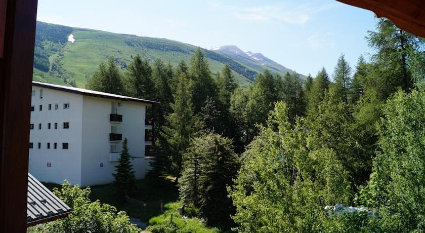 Gentiane - Photo 2