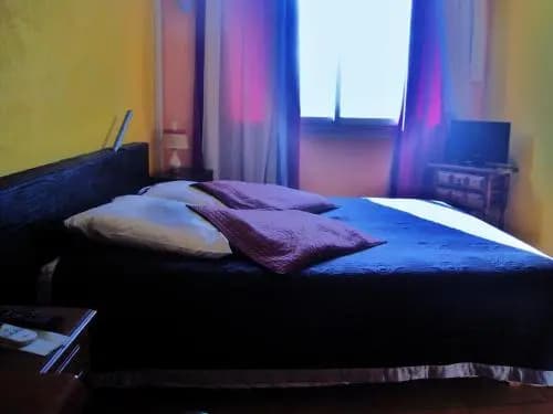 News Hôtel Carnon - Photo 2