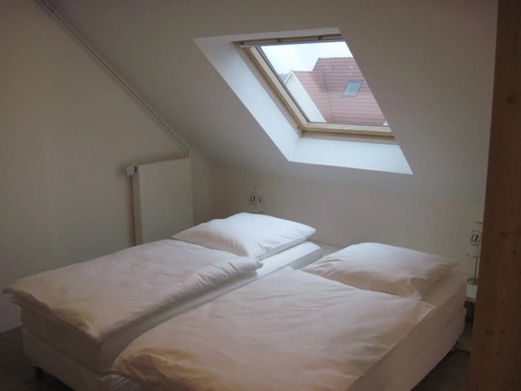 Hotel des bois - Photo 5
