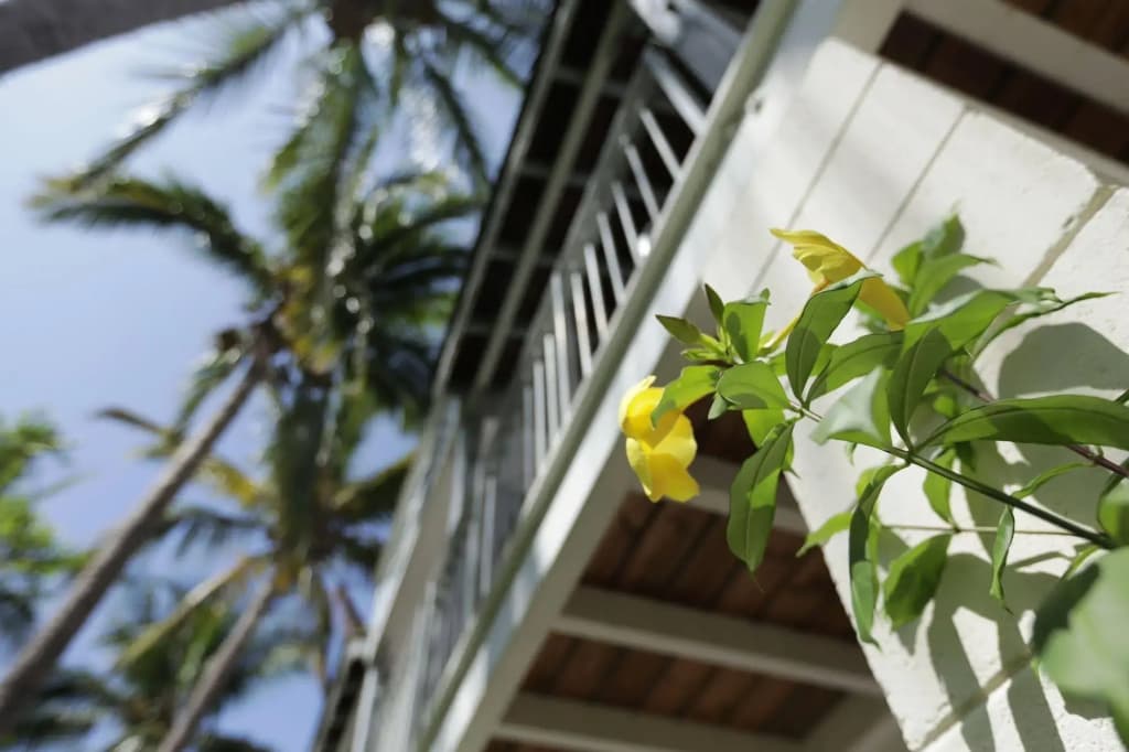 Hôtel Exsel Alamanda - Photo 1